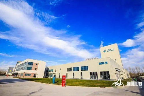 推動塑料循環(huán)經(jīng)濟(jì)進(jìn)程 盈創(chuàng)匯智工廠在天津全面開工的技術(shù)咨詢